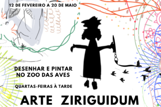 Ziriguidum apresenta: desenho e pintura no Zoo das Aves