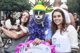 Bloco de Carnaval arrecada alimentos para cães e gatos resgatados das ruas
