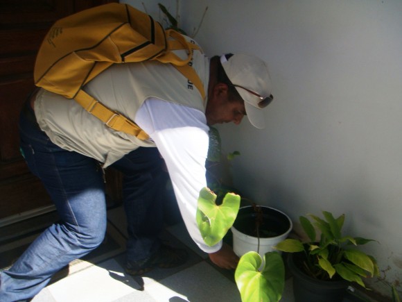 Agentes de endemias percorrem as residências para combater os focos do mosquito transmissor da dengue.