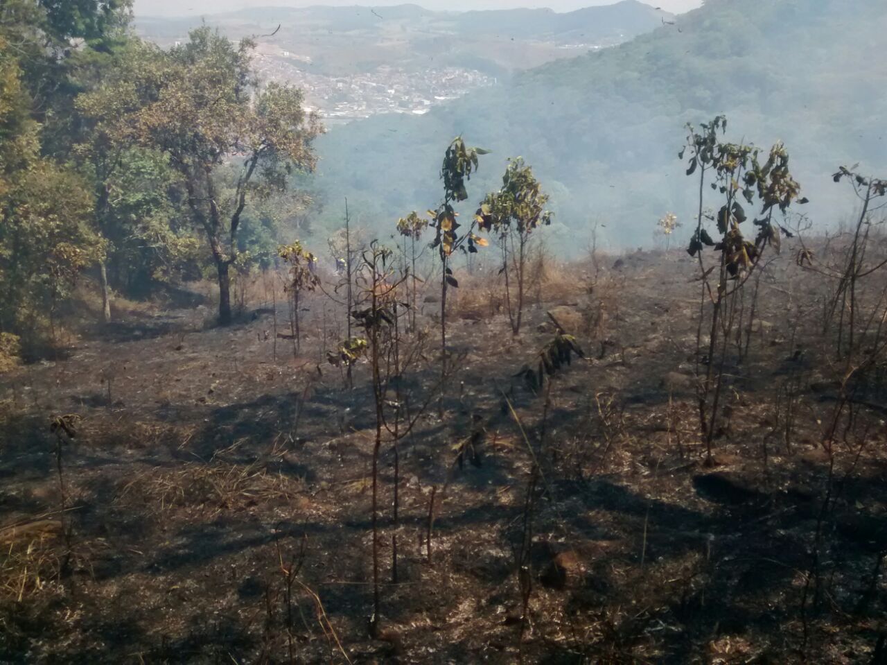 WhatsApp Image 2016-09-23 at 16.57.46 (1)