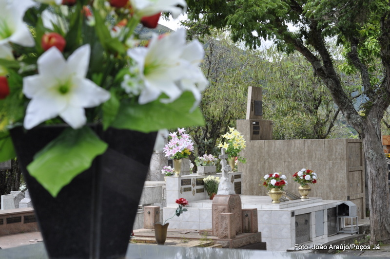 Flores naturais não podem estar envoltas em papel celofane e vasos precisam ser furados embaixo.
