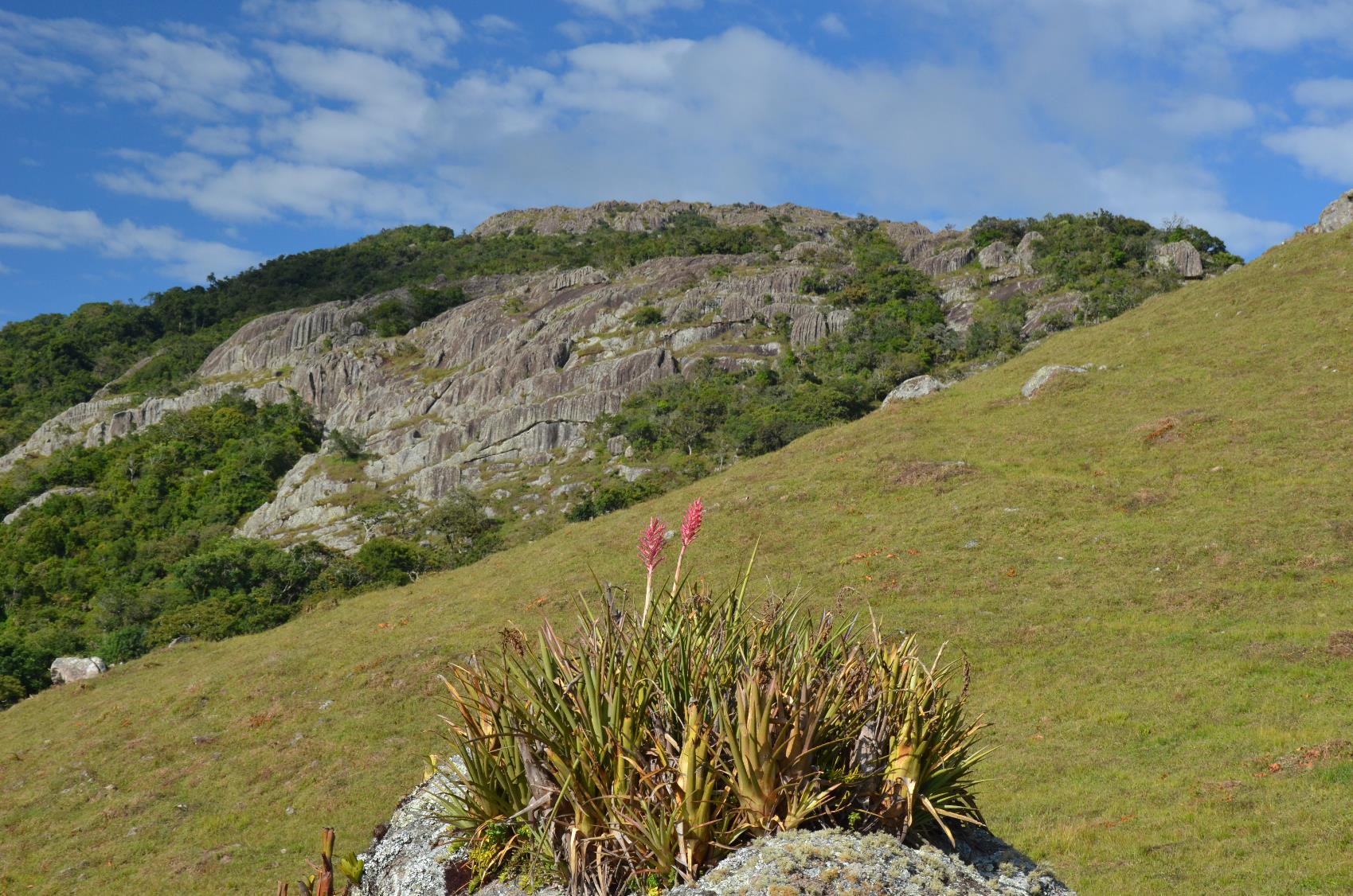 pedra_branca_03_fernando_brumas